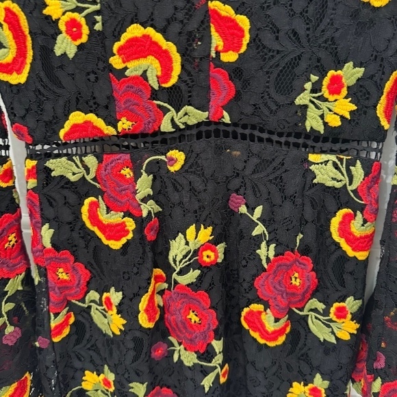 Alexia Admor Dress **size 6** LACE Black/red/floral VERY Good condition - Picture 2 of 6